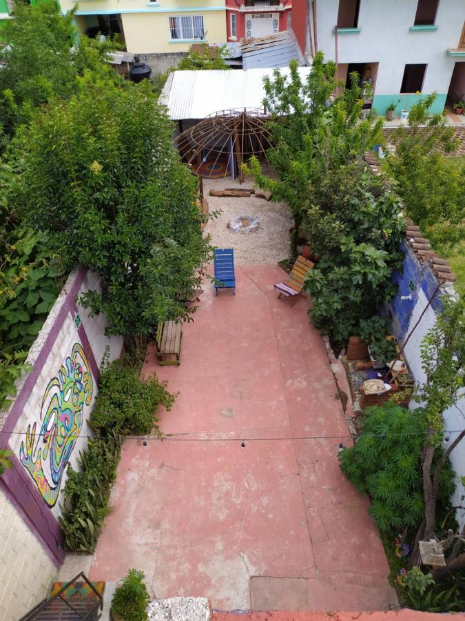 Lipi House Hostel San Cristóbal de Las Casas Eksteriør billede