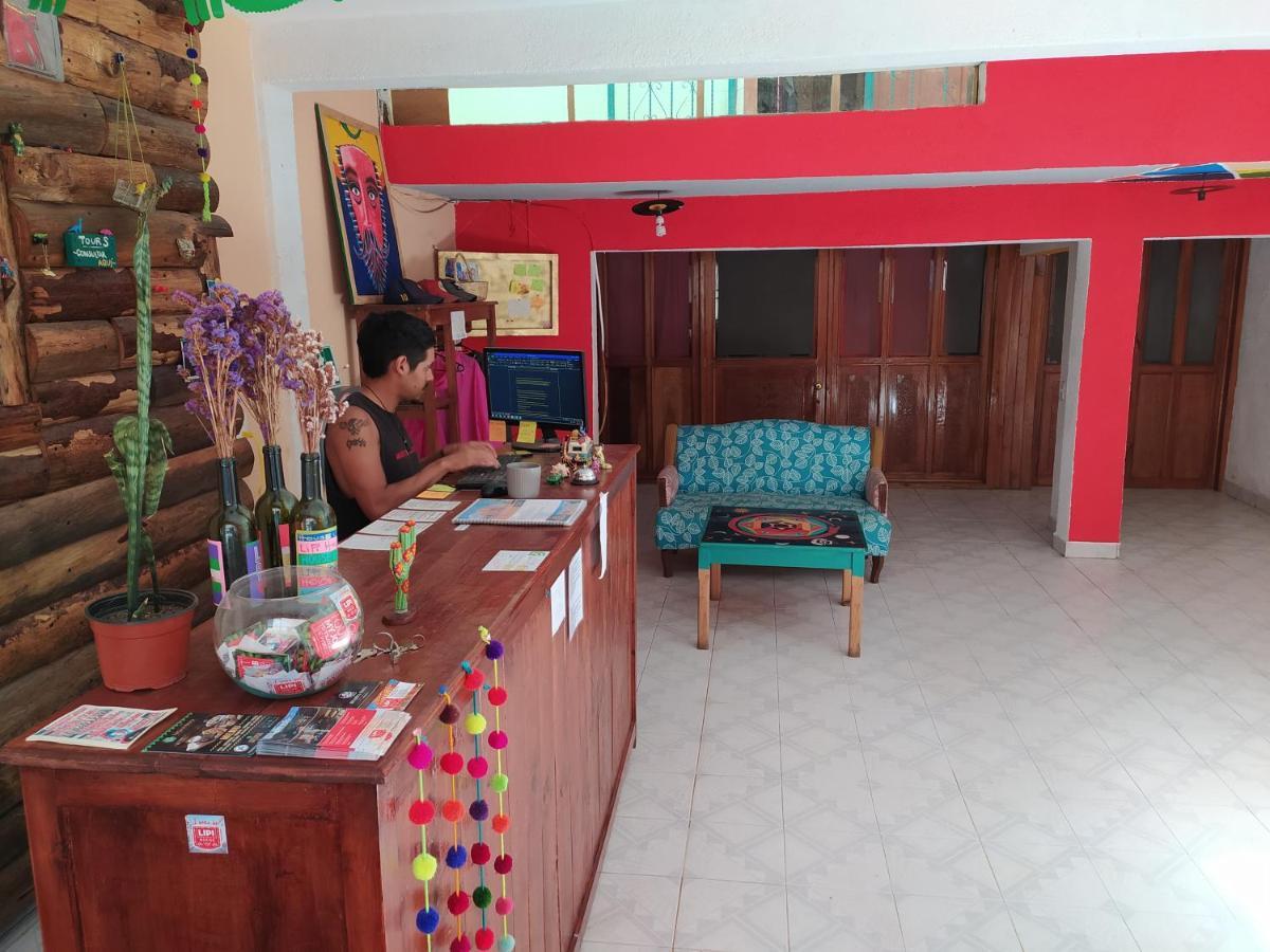 Lipi House Hostel San Cristóbal de Las Casas Eksteriør billede