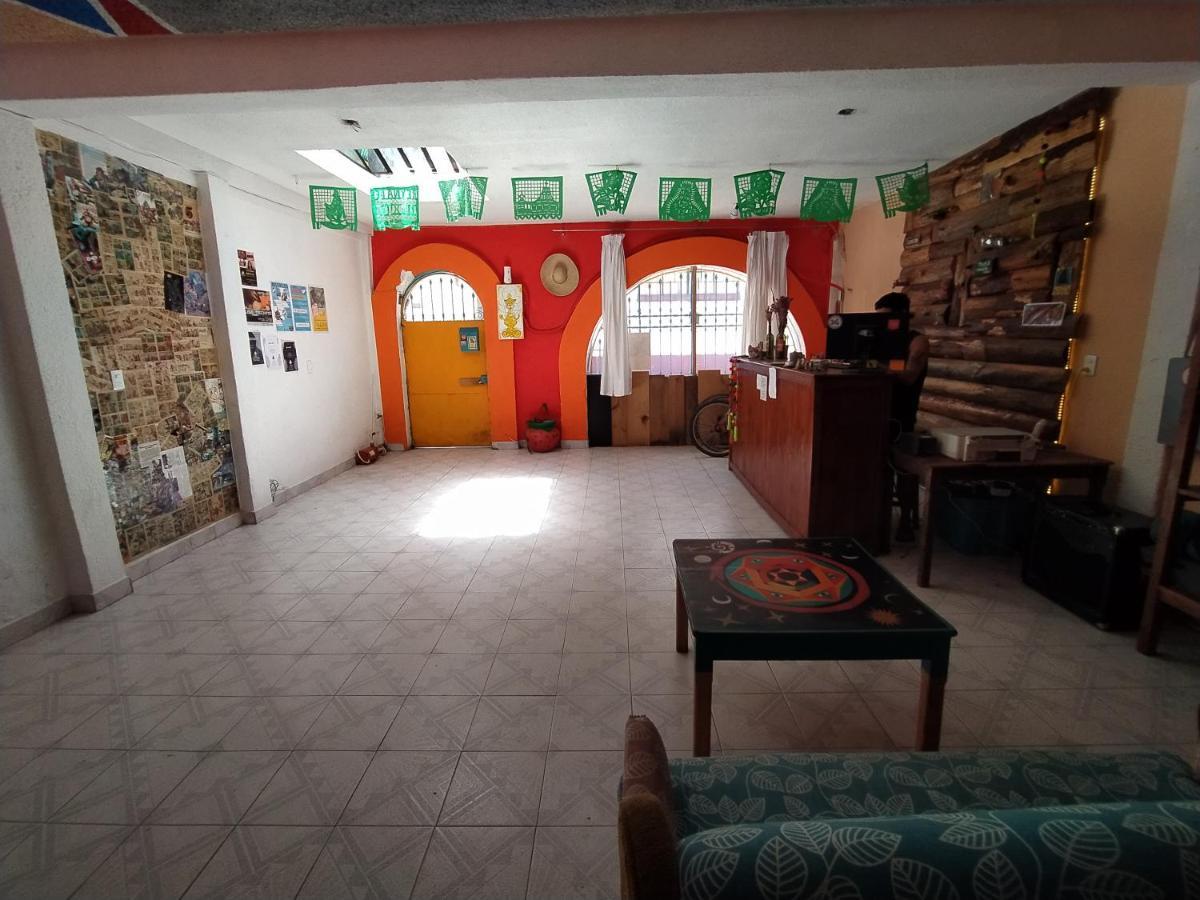 Lipi House Hostel San Cristóbal de Las Casas Eksteriør billede