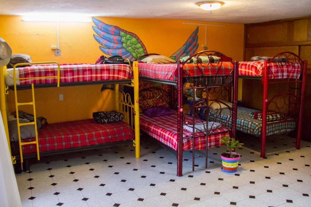 Lipi House Hostel San Cristóbal de Las Casas Eksteriør billede